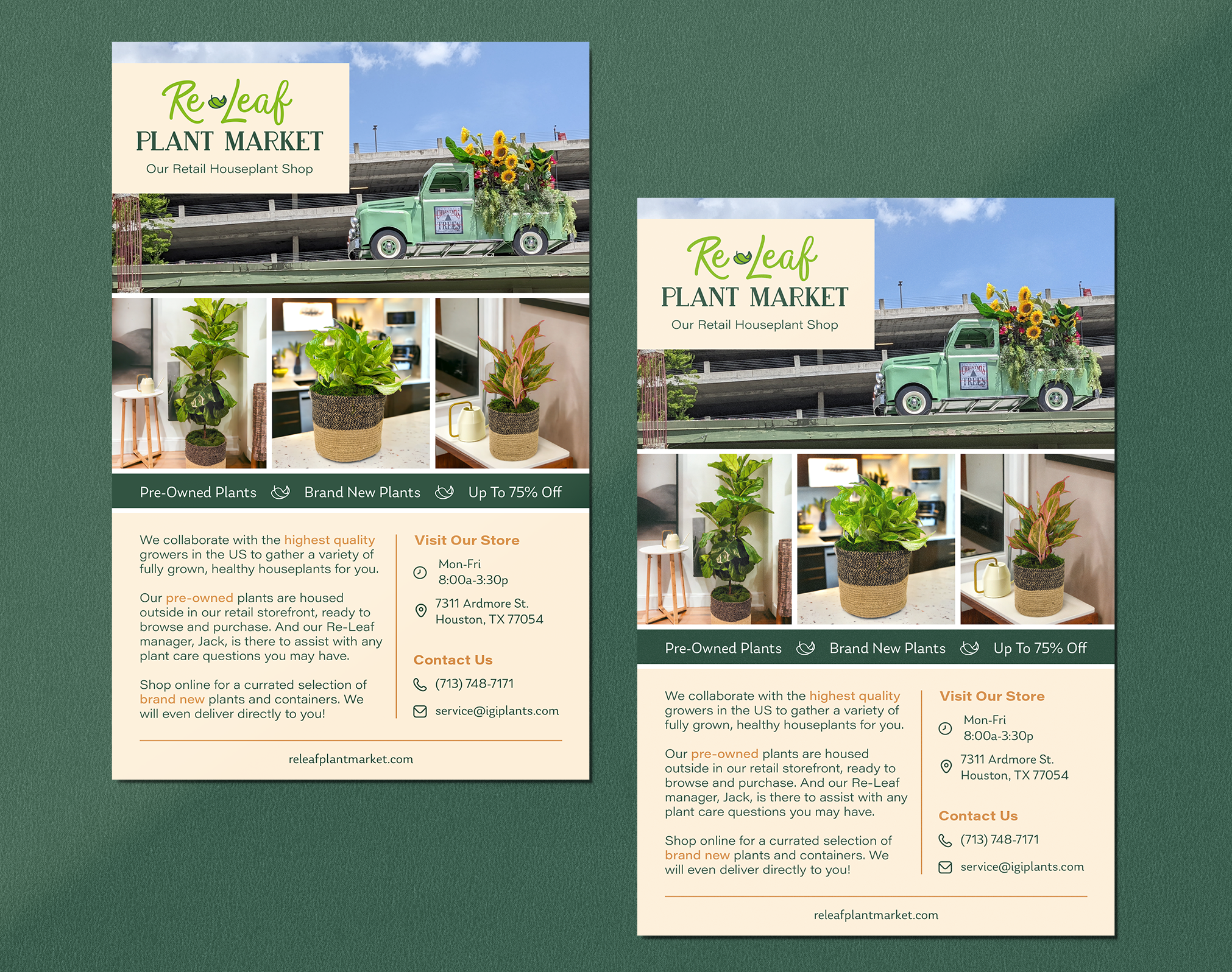 releaf brochure flyer